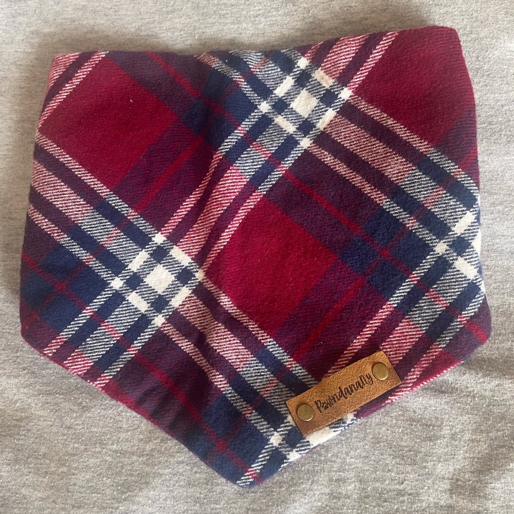 Bundle of Dog Bandana